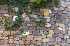 Stone wall with ivy. Greece, Crete, Chania, Old Town. Art Print